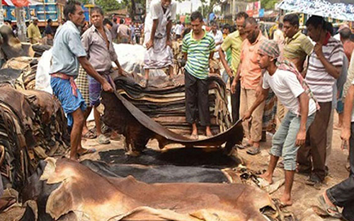 চামড়া পাচার রোধে রাজশাহী সীমান্তে কঠোর বিজিবি