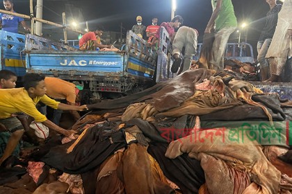 ‘দেড় লাখ টাকার গরুর চামড়ার দাম ২৫০ টাকা’