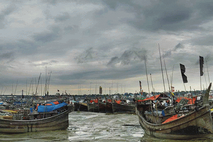 এবার ৬ লাখ মেট্রিক টন ইলিশ ধরার টার্গেট
