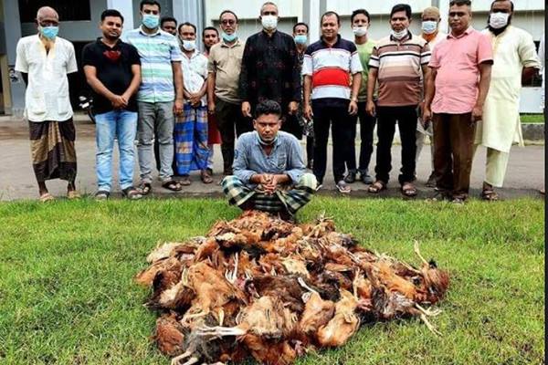 ভোলায় ১৬৫ মরা মুরগিসহ ব্যবসায়ী আটক