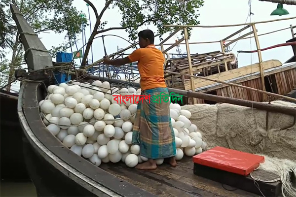 বঙ্গোপসাগরে বৈরি আবহাওয়ায় ইলিশ আহরণে ব্যর্থ জেলেরা 
