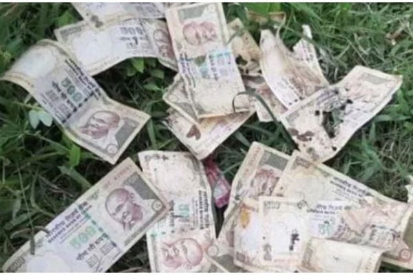 জঙ্গলে ব্যাগে থরে থরে সাজানো রুপি, রহস্য 

