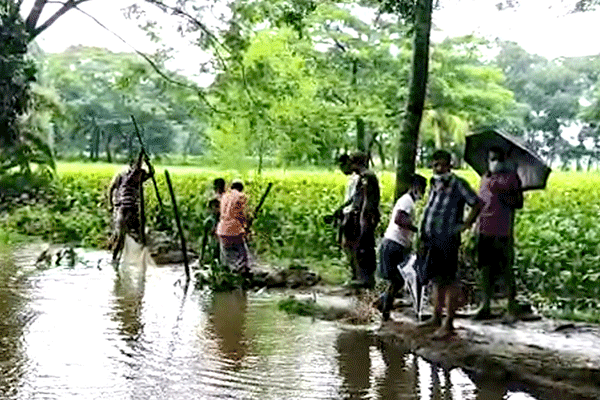 কলাপাড়ায় জলাবদ্ধতা থেকে মুক্ত হলো কৃষকরা
