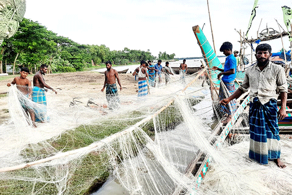 লক্ষ্মীপুরের মেঘনায় মিলছে না কাঙ্খিত ইলিশ