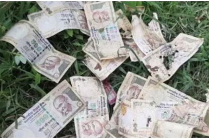 জঙ্গলে ব্যাগে থরে থরে সাজানো রুপি, রহস্য 

