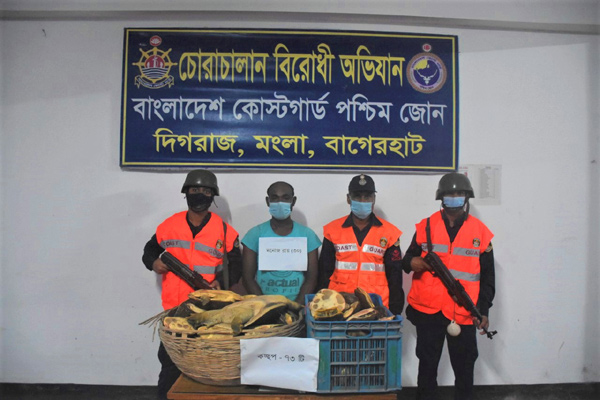 বিলুপ্তপ্রায় প্রজাতির ৭৩টি সুন্ধি কচ্ছপ খানজাহানের দিঘিতে অবমুক্ত 