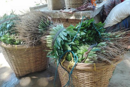 পাহাড়ে বিলাতি ধনিয়ায় বাম্পার ফলন