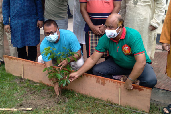 কিশোরগঞ্জে কৃষক লীগের অনুষ্ঠানে গাছ লাগালেন সংসদ সদস্য তৌফিক