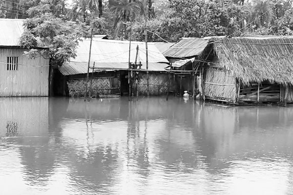 মোংলায় তলিয়ে গেছে ৪৫০ চিংড়ি খামার