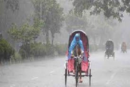 রংপুরে বৃষ্টি আমন চাষিদের জন্য আশির্বাদ
