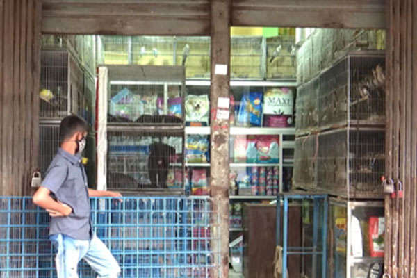আলো-বাতাস-খাবারের অভাবে কাঁটাবনে প্রায় ৫০০ পশুপাখির মৃত্যু (ভিডিও)