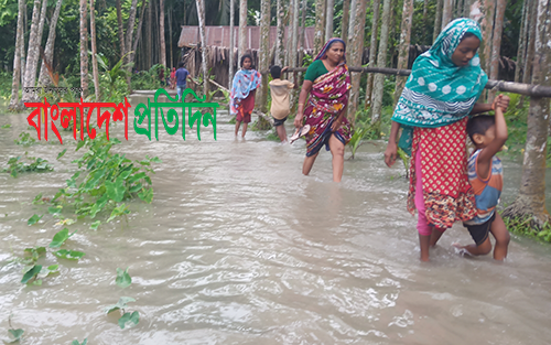 জোয়ারের পানিতে ফসলের ব্যাপক ক্ষতি, রায়পুরে ১০ গ্রাম প্লাবিত