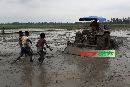 দিনাজপুরে ফসলের মাঠে মাছ ধরার উৎসবে মেতেছে শিশু শিক্ষার্থীরা