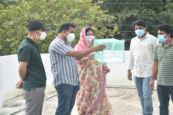 চট্টগ্রাম নগরের ১৫ স্পটে এডিস মশার লার্ভা শনাক্ত