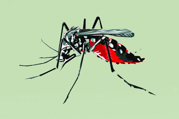 জুলাইতে বছরের রেকর্ড ডেঙ্গুর