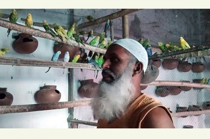 পাখি পালনেই সংসারের স্বচ্ছলতা ফেরে আব্দুল বারেকের