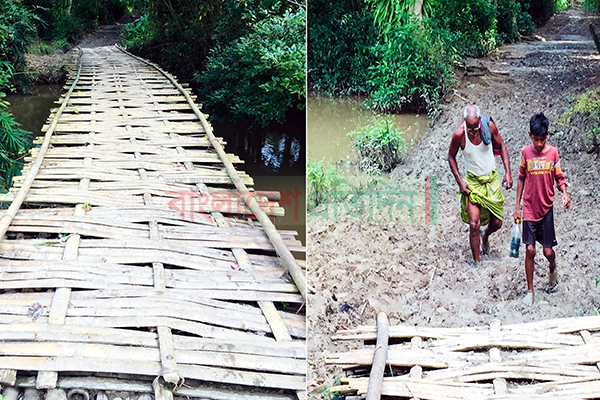 বাঁশের সাঁকোই তাদের একমাত্র ভরসা
