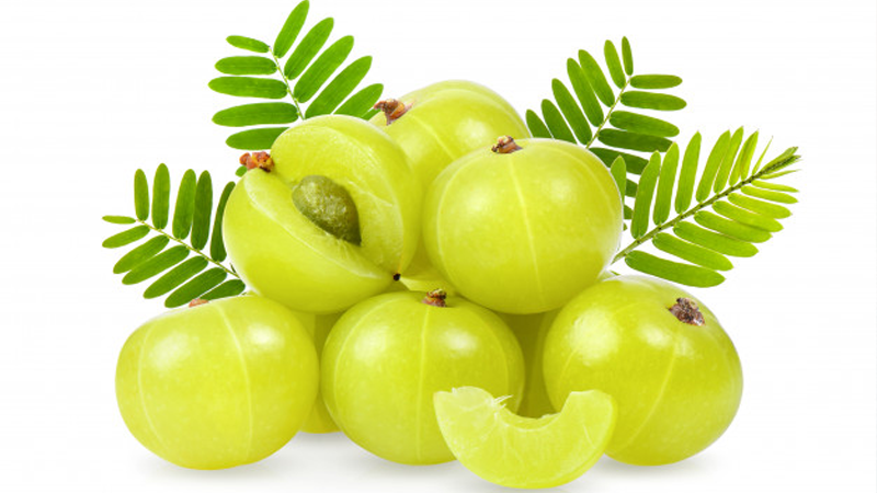 আমলকির ঔষধি গুণ