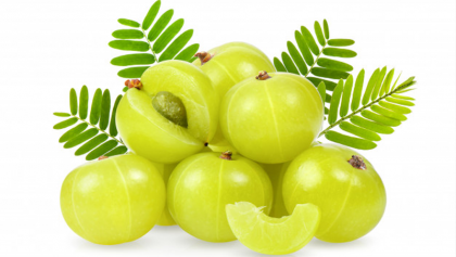 আমলকির ঔষধি গুণ