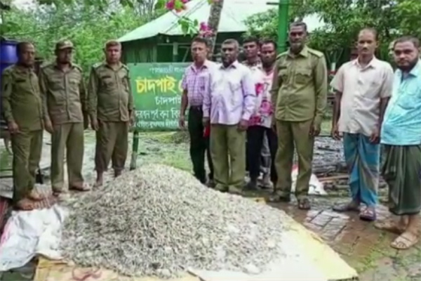 সুন্দরবনে আহরণ নিষিদ্ধ সময়ে আট মণ চিংড়িসহ নৌকা জব্দ 