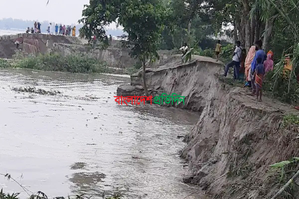 টাঙ্গাইলে আবারও যমুনার তীব্র ভাঙন