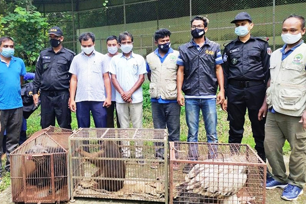 শ্রীমঙ্গলে দুর্লভ প্রজাতির চারটি বন্যপ্রাণী উদ্ধার