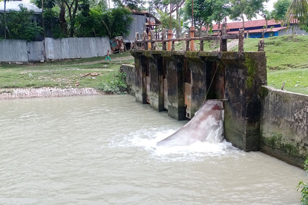 
কলাপাড়ায় কৃষকদের কাজে আসছে না ‘জলকপাট’