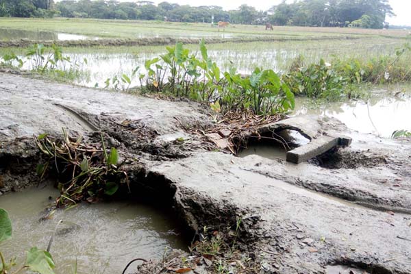 গলাচিপায় কালভার্ট না থাকায় ভোগান্তিতে কৃষকরা