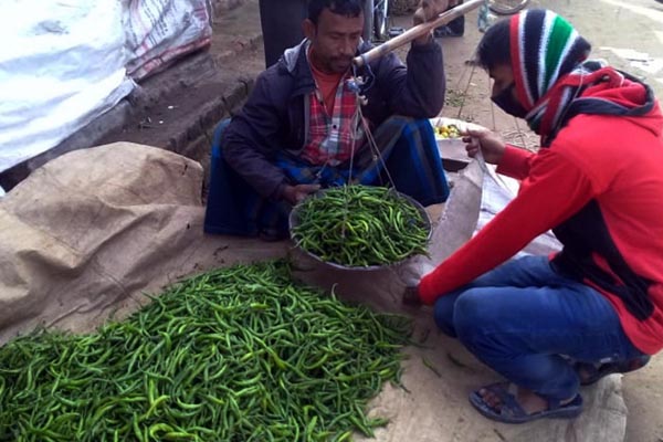 দিনাজপুরে কাঁচা মরিচের ঝাঁজ বেড়েছে