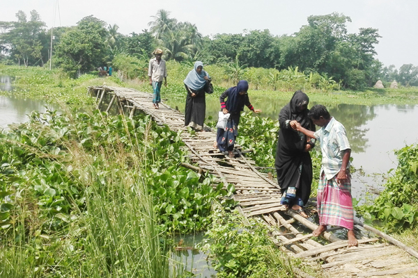 ৫০ বছর ধরে বাঁশের সাঁকোয় ভরসা! 