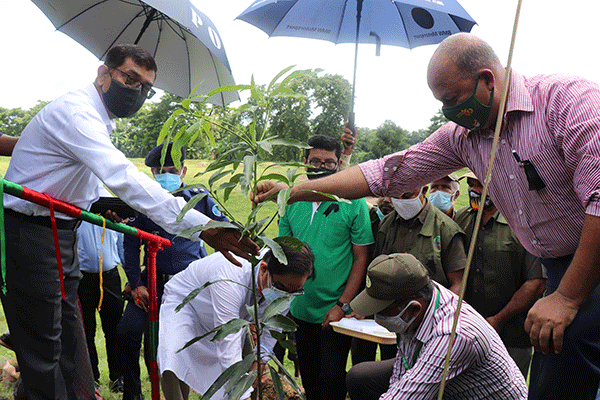 শেখ কামালের জন্মদিনে কুমিল্লায় বৃক্ষরোপণ