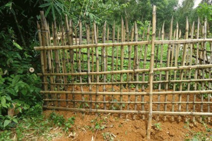 করোনা উপসর্গে মৃত নারীর বাড়ি ‘লকডাউন’, কবর জিয়ারতে বাধা-হামলা

