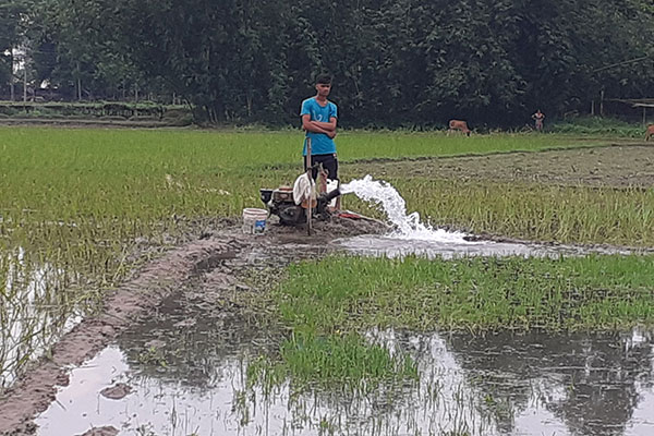 খরার কবলে পড়েছে উত্তরের কৃষিনির্ভর জেলা নীলফামারী