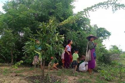মিয়ানমারের জঙ্গলে ৪০ মরদেহ উদ্ধার