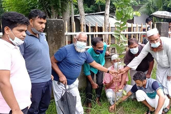 ডাসার প্রেসক্লাবের উদ্যোগে বৃক্ষরোপণ কর্মসূচি পালন