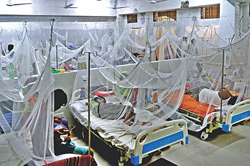গত ২৪ ঘণ্টায় ২১০ ডেঙ্গু রোগী হাসপাতালে ভর্তি