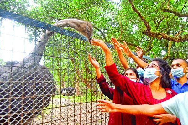 টিকিট ছাড়া চিড়িয়াখানায় ঢুকলেই ২ মাসের জেল!