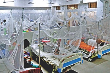 গত ২৪ ঘণ্টায় ২১০ ডেঙ্গু রোগী হাসপাতালে ভর্তি