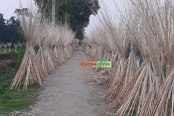 গ্রামীন সড়কজুড়ে সারি সারি পাটখড়ি