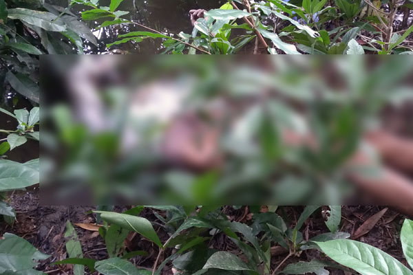 মধুখালীতে রিকশাচালকের লাশ উদ্ধার