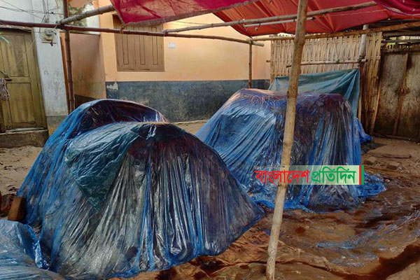 
দিনাজপুরে কোরবানির পশুর চামড়ায় পচন; ৮০ হাজার অবিক্রিত