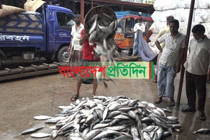 সামুদ্রিক ইলিশে ভরপুর
বরিশালের মোকাম; কমেছে দামও