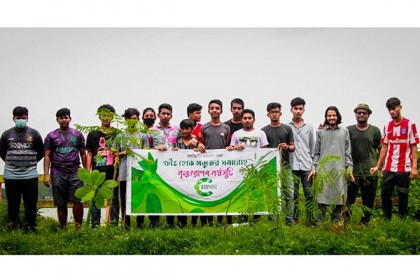 সিদ্ধিরগঞ্জে 'শ্লোগান'র বৃক্ষরোপণ কর্মসূচি পালন