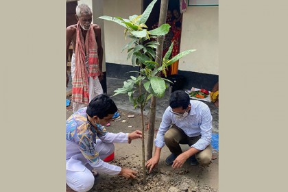 আশ্রয়ণ প্রকল্পের ১৮৭ ঘরের সামনে আমের চারা রোপণ