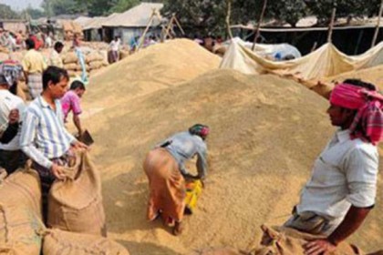 সরকারের বোরো সংগ্রহের সময় বেড়েছে

