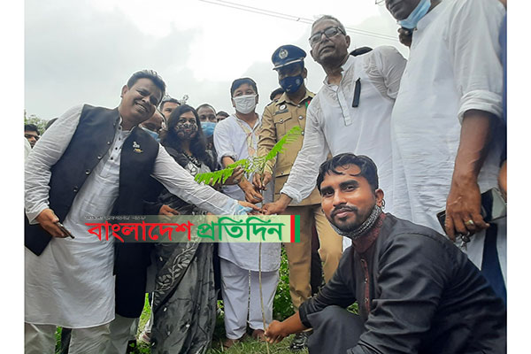 জাতীয় শোক দিবসে 
সখীপুরে সড়কের পাশে কৃষ্ণচূড়ার চারা রোপণ