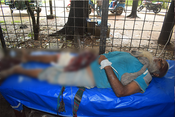 হালুয়াঘাটে বাসচাপায় প্রাণ গেল ভিক্ষুকের 