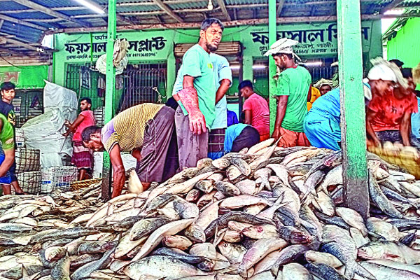 ইলিশে সয়লাব মোকাম