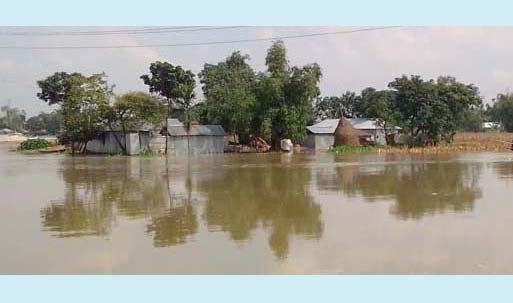 তিস্তায় পানি বৃদ্ধি, গঙ্গাচড়ায় ৩ হাজার পরিবার পানিবন্দি