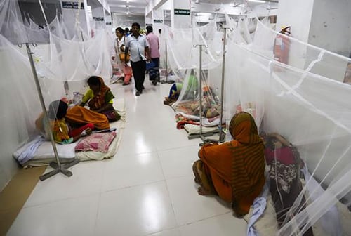 ডেঙ্গুতে দেড় মাসে মৃত্যু ২৫ জনের 